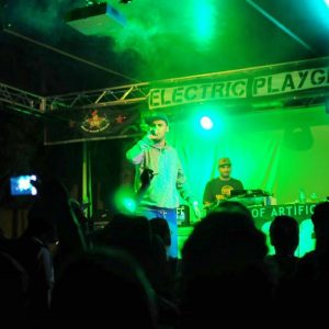 electric (12) [1024×768]