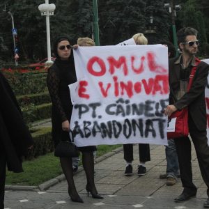 maidanezi protest timisoara 4