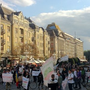 poză (1)