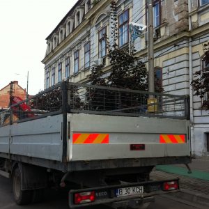 poză(1)