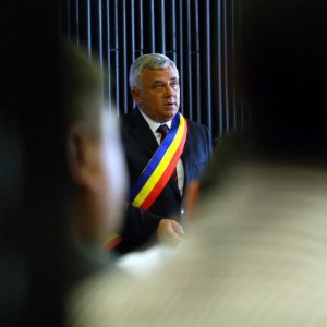 bojin tricolor umbre