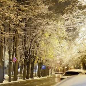 zapada timisoara (5)