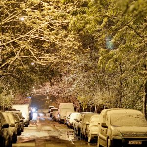 zapada timisoara (8)