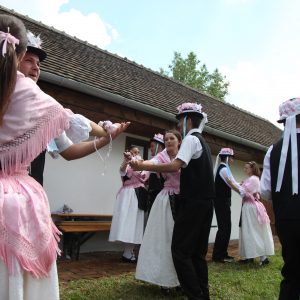 timisoara culturala06