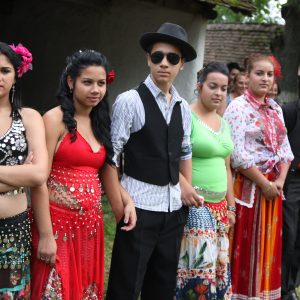 timisoara culturala66