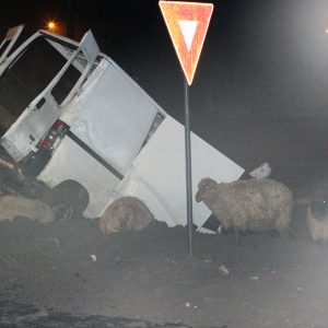 accident oi 2