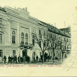 timisoara_primaria_veche_1898