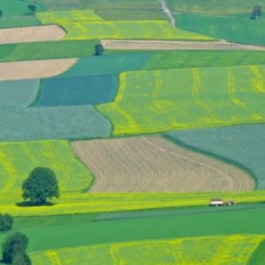 terenuri_agricole 2