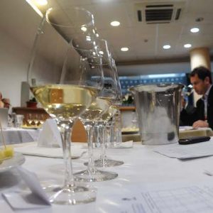 concursul National de Vinuri VINVEST 2014 (7)