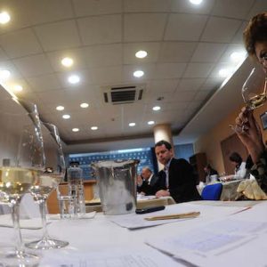 concursul National de Vinuri VINVEST 2014 (8)