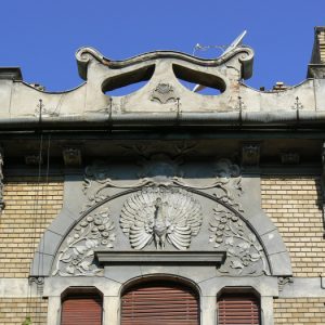 casa cu pauni si bufnite