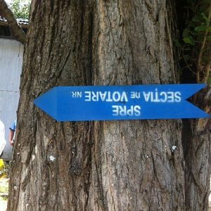 indicator sectie votare