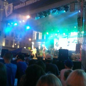 ziua timisoarei petre