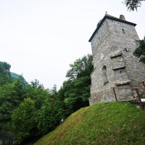 Castelul-din-Carpati-sau-Cetatea-Colt_05-800×533