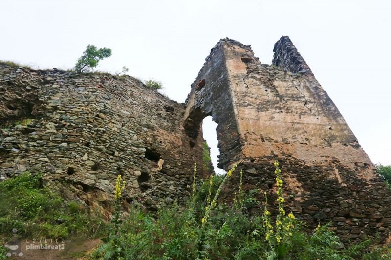 cetatea colt