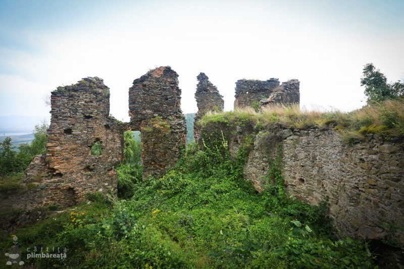 cetatea colt