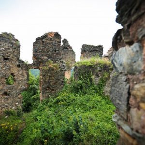 Castelul-din-Carpati-sau-Cetatea-Colt_13-800×533