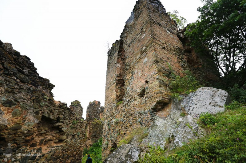 cetatea colt