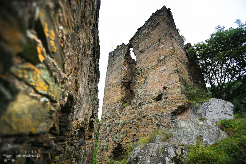 cetatea colt