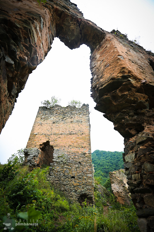 cetatea colt
