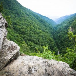 Castelul-din-Carpati-sau-Cetatea-Colt_34-800×533