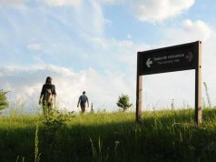 O nouă specie de dinozaur erbivor a fost descoperită în Geoparcul Internațional UNESCO din Țara Hațegului