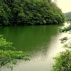lacul buhui (1)