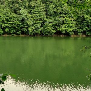 lacul buhui caras severin