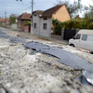 vaselina pe gard redesteptarea