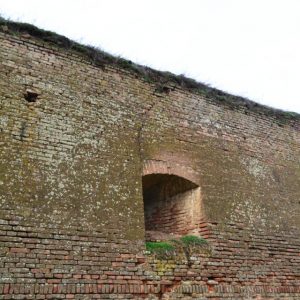 cetate