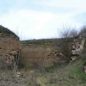 cetate fragment ziduri