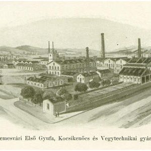 fabrica de chibrituri timisoara_borovszki samu