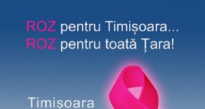 funda roz