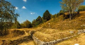 cetatea dacica de la costesti