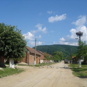gladna romana