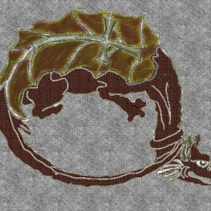 ordinul dragonului