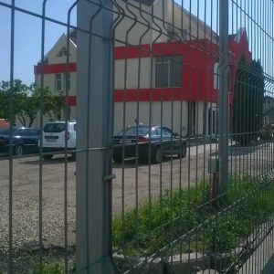 ginere blaga (2)
