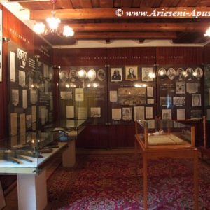12. Sala de istorie a muzeului de la Avram Iancu