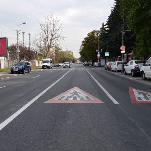 pestalozzi (5)
