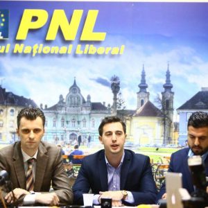 cocean bitea pnl2