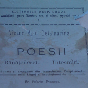 5. poezii
