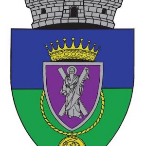 4. stema sanandrei