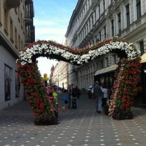 Timfloralis 2016