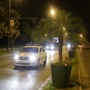 palmieri petunii politia locala 7
