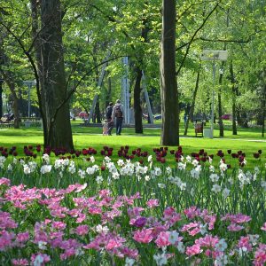 parcul justitiei 2