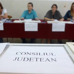 alegeri locale 2016 vot generic sectie de votare (1)