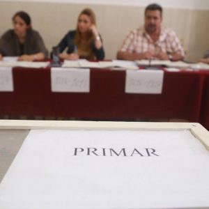 alegeri locale 2016 vot generic sectie de votare (2)