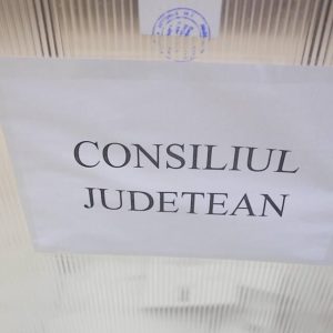 alegeri locale 2016 vot generic sectie de votare (5)
