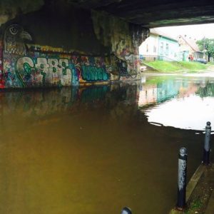 inundatii timisoara 28 iunie 2016 (1)