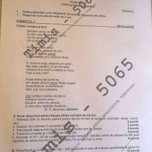 subiecte evaluarea nationala limba romana 1